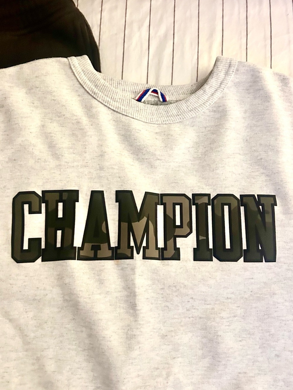 Champion Light tan Crewneck with army fatigue Logo Detail